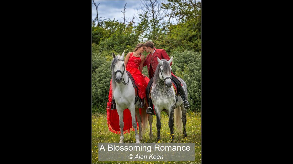 14_A Blossoming Romance_Alan Keen
